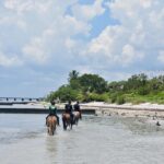Guided Horseback Riding on The Pristine Waters of Miami Florida - The Value of the Experience