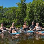 Guided Island EcoTour: CLEAR/Standard Kayak, SUP - Bonita Springs - Why You’ll Love the Guided Island EcoTour