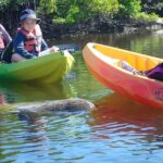 Guided Kayak Eco Tour - Bunche Beach - An Honest Look at the Eco Kayak Tour Experience