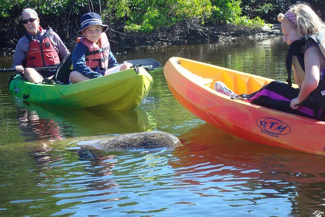 Guided Kayak Eco Tour - Bunche Beach - An Honest Look at the Eco Kayak Tour Experience
