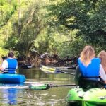Guided Kayak Eco Tour: Real Florida Adventure - The Value of the Experience