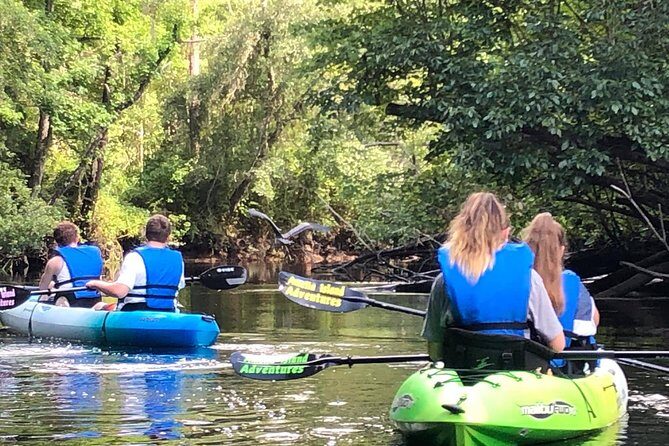 Guided Kayak Eco Tour: Real Florida Adventure - The Value of the Experience