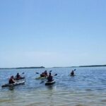 Guided Kayak EcoTour of Beautiful Shell Key Preserve - Practical Details and Considerations