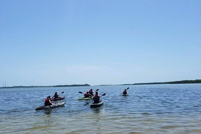 Guided Kayak EcoTour of Beautiful Shell Key Preserve - Practical Details and Considerations