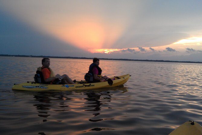 Guided Kayak Tour with Manatee & Dolphin Sightings - Real Experiences from Fellow Travelers