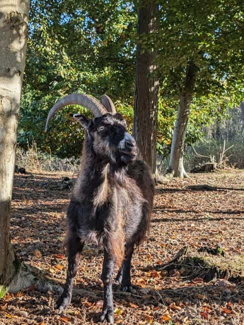 Guided Nature Tour: Pilgrims Way & Bigbury Fort - Who Will Love This Experience?