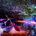 Guided Night Kayak Adventure Tour in Luminous Lagoon - Who Would Love This?