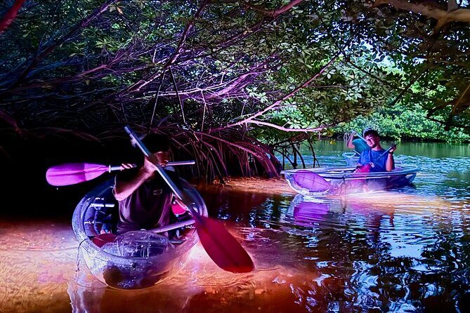 Guided Night Kayak Adventure Tour in Luminous Lagoon - Who Would Love This?