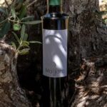 Guided oil tasting with tour of olive grove in Agrigento - The Real Value of the Experience