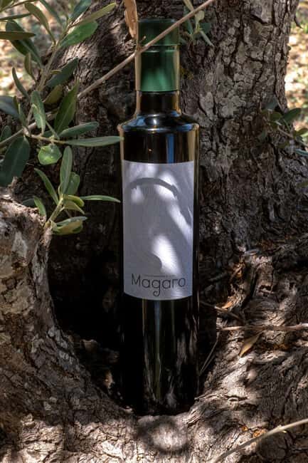 Guided oil tasting with tour of olive grove in Agrigento - The Real Value of the Experience