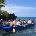 Guided Outrigger Canoe Tour in Kealakekua Bay - The Fine Details: Itinerary and Experience Highlights