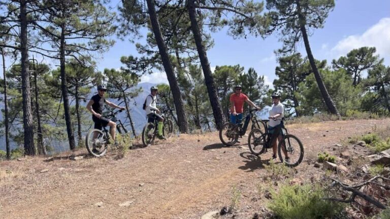 Guided premium E-Mountain Bike Tour with Views (Marbella) - The Itinerary Breakdown