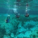 Guided Semi-Private Snorkel Tour (w/ FREE Photos!) - The Guides and Their Role