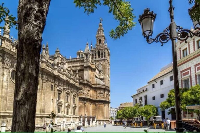 Guided Seville Sightseeing & Food Tour with Rooftop Bar - Tour Logistics and Practicalities