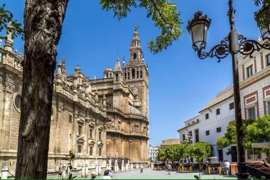 Guided Seville Sightseeing & Food Tour with Rooftop Bar - Tour Logistics and Practicalities