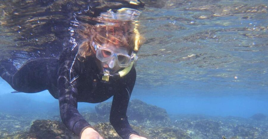 Guided Snorkeling Experience - What to Expect During the Tour