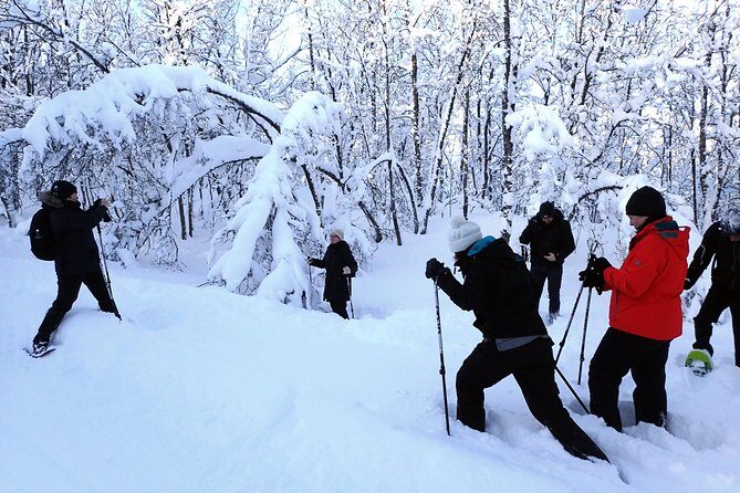 Guided Snowshoe Walk on Tromsoya Island in Tromso - Final Thoughts
