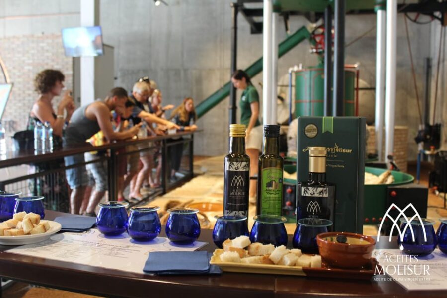 Guided tour and oil tasting at the Aceites Molisur factory - Who Should Consider This Tour?