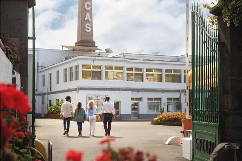 Guided Tour at Ron Arehucas Distillery - What You Can Expect During the Tour