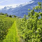 Guided tour: Hardangerfjord, Waterfalls and Ferry crossing - What You’ll Love Most