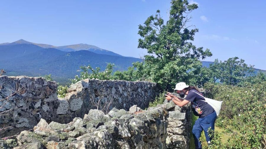 Guided Tour in Valsaín: The Battle of La Granja (Segovia) - An Honest Breakdown of the Experience