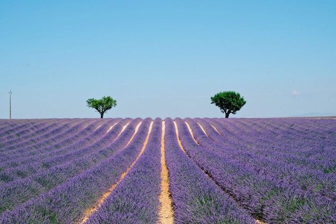 GUIDED TOUR: Lavender fields, the Gorges du Verdon - Practical Details and What They Mean for You