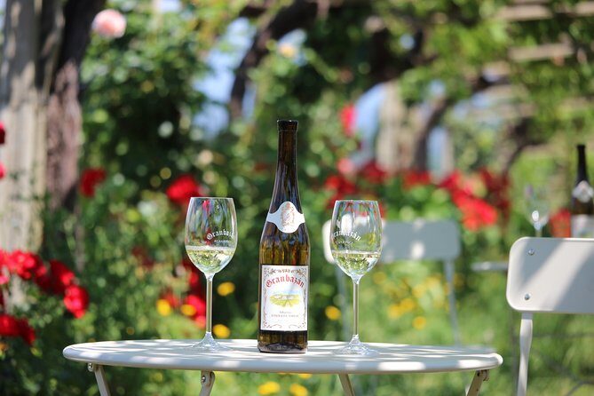 Guided tour of Bodegas Granbazán - An In-Depth Look at the Bodegas Granbazán Tour