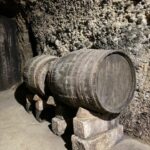 Guided tour of Bodegas J.F. Iradier, Rioja Alavesa - Who Should Consider This Tour