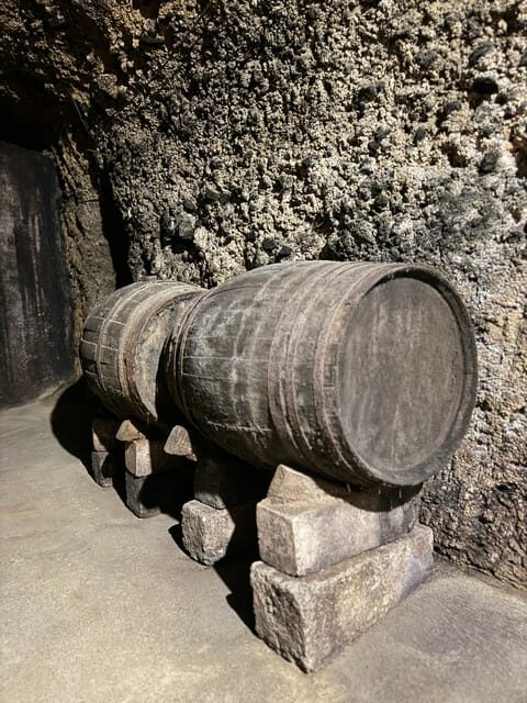 Guided tour of Bodegas J.F. Iradier, Rioja Alavesa - Who Should Consider This Tour