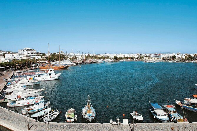 Guided Tour of Kos Town Asclepeion and Zia with Wine Tasting - Final Thoughts