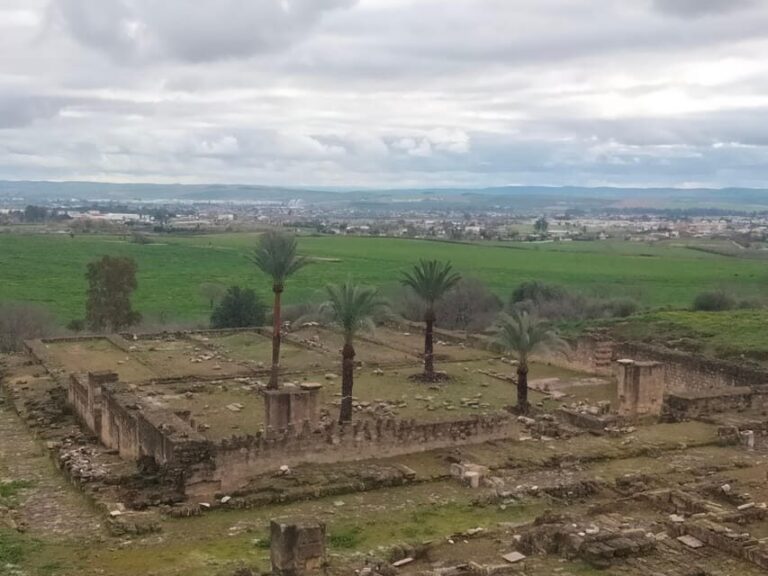 Guided tour of Medina Azahara only in french - What’s Included and What’s Not?
