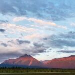Guided Tour of Musk Ox Farm & Scenic Drive from Anchorage - The Value of This Tour