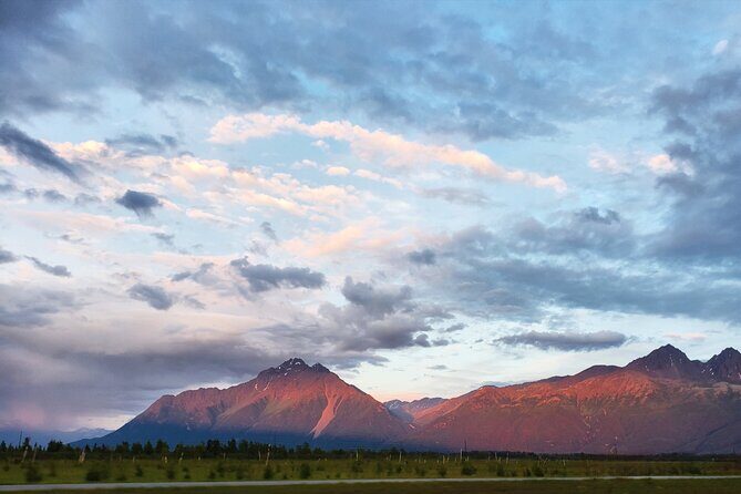Guided Tour of Musk Ox Farm & Scenic Drive from Anchorage - The Value of This Tour