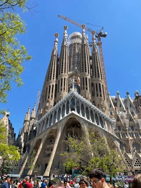 Guided Tour of Sagrada Familia - Gaudi's dream - An In-Depth Look at the Guided Tour Experience
