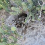 Guided tour of the Bardenas Reales de Navarra by 4x4 - Price and Value
