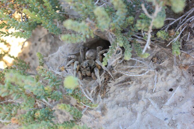 Guided tour of the Bardenas Reales de Navarra by 4x4 - Price and Value