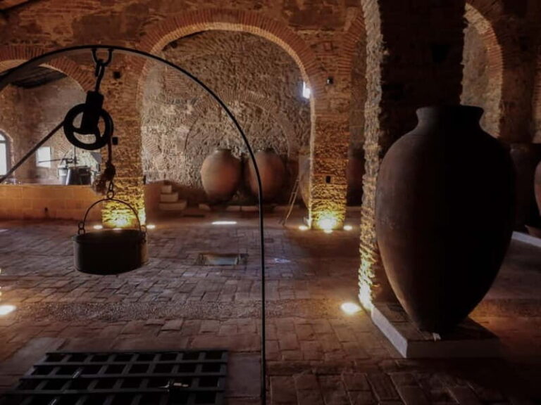 Guided tour of the Cella Vinaria Antiqua Wine Cellar Museum - The Itinerary and Highlights