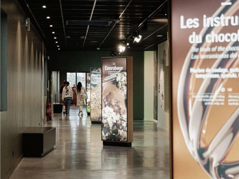 Guided tour of the chocolate factory and tasting in Trèbes - Practical Details and What It Means for You