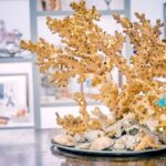 Guided tour of the coral museum in Sciacca - Who is this tour best suited for?