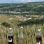 Guided Tour of the Coteaux Côte Rôtie for Parents and Children Duos - The Experience in Detail