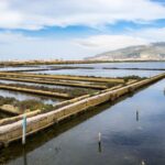 Guided tour of the Marsala Salt Pans and salt harvesting - A Closer Look at the Salt Pans of Marsala