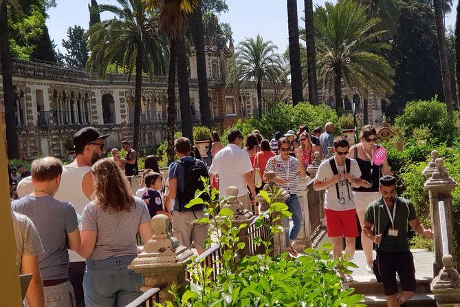 Guided Tour Sevilla Alcázar - Value and Practicalities