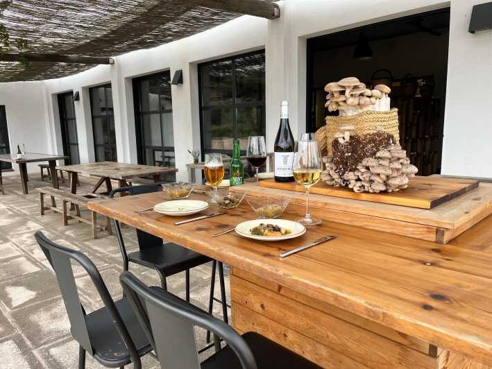 GUIDED TOUR + TASTE IN A MUSHROOM FARM - What You Can Expect from the Tour