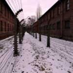 Guided tour to Auschwitz Birkenau museum from Krakow with lunch - Practical Tips for Prospective Travelers