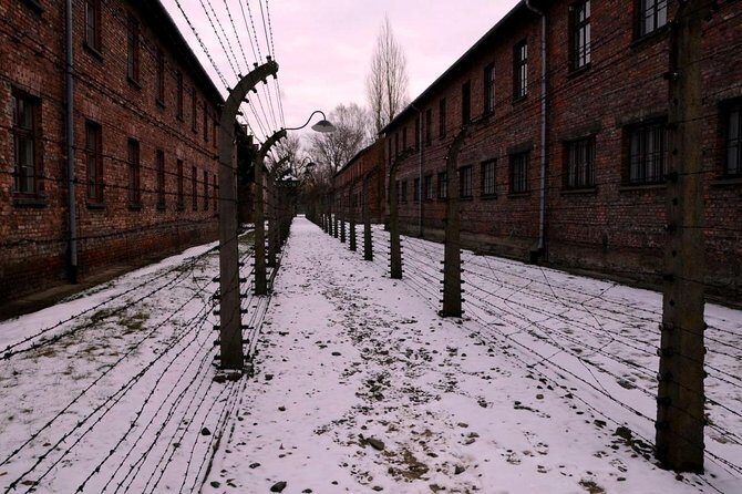 Guided tour to Auschwitz Birkenau museum from Krakow with lunch - Practical Tips for Prospective Travelers