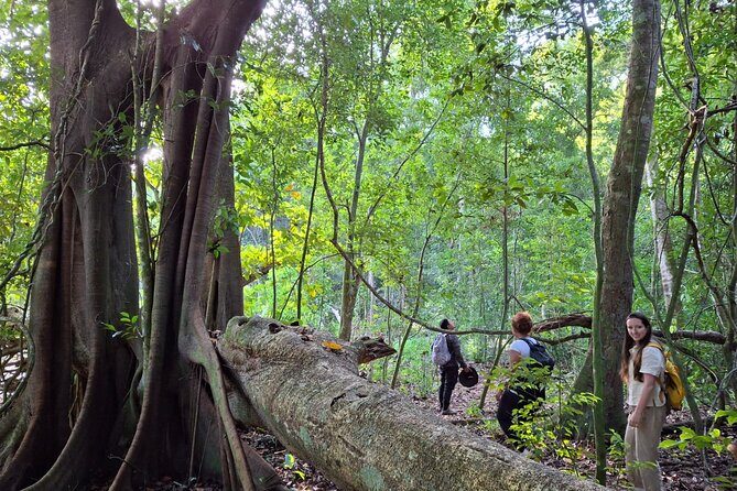 Guided Tour to Calakmul and Jungle Trail | From Bacalar. - Exploring Calakmul: The Ancient World