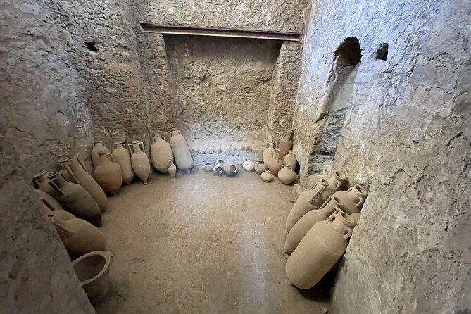 Guided Tour to Pompeii Ruins and Vesuvius from Sorrento - The Value of This Tour