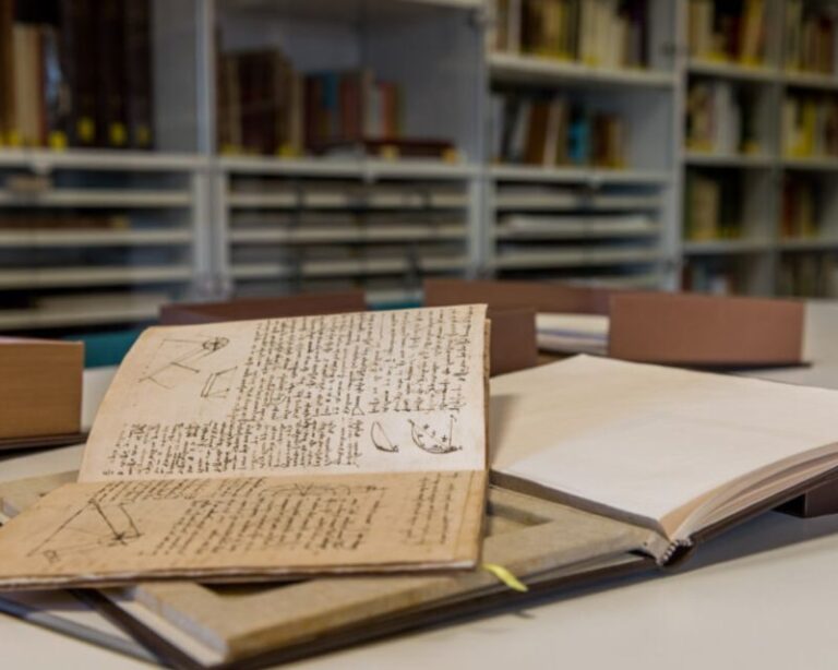 Guided tour to the editions of Leonardo's manuscripts - Practical Tips