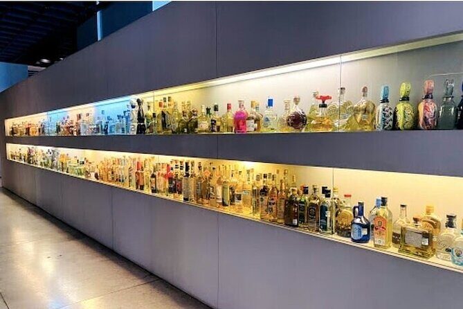 Guided Tour to the Tequila and Mezcal Museum - Final Thoughts