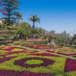 Guided Tuk-Tuk Tour to Botanical Garden (From Funchal) - The Practicalities and Value